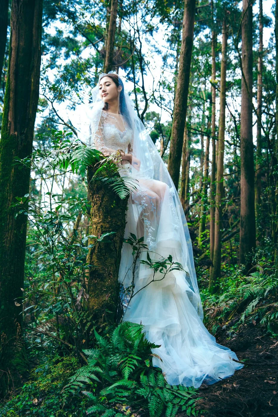 陽明山婚紗照｜森林的白紗｜Sophia Studio 台北婚紗攝影