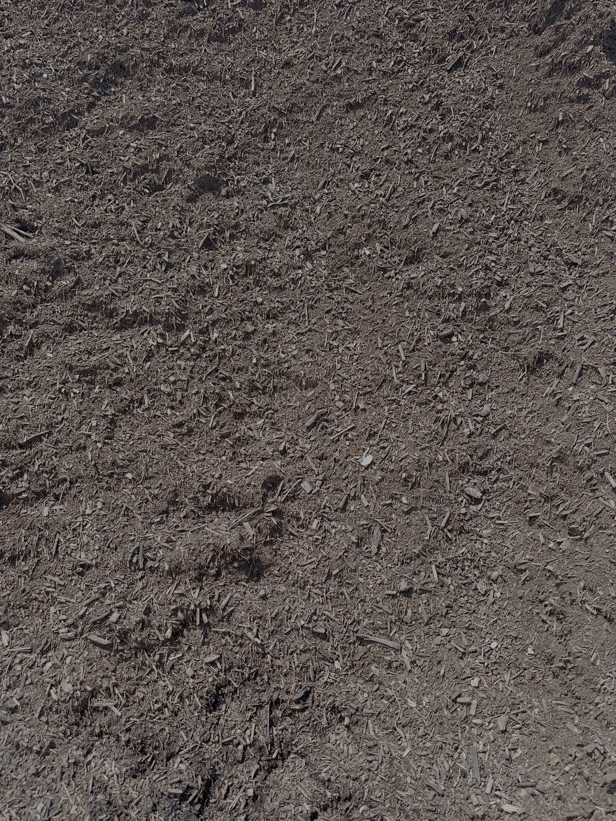 Compost