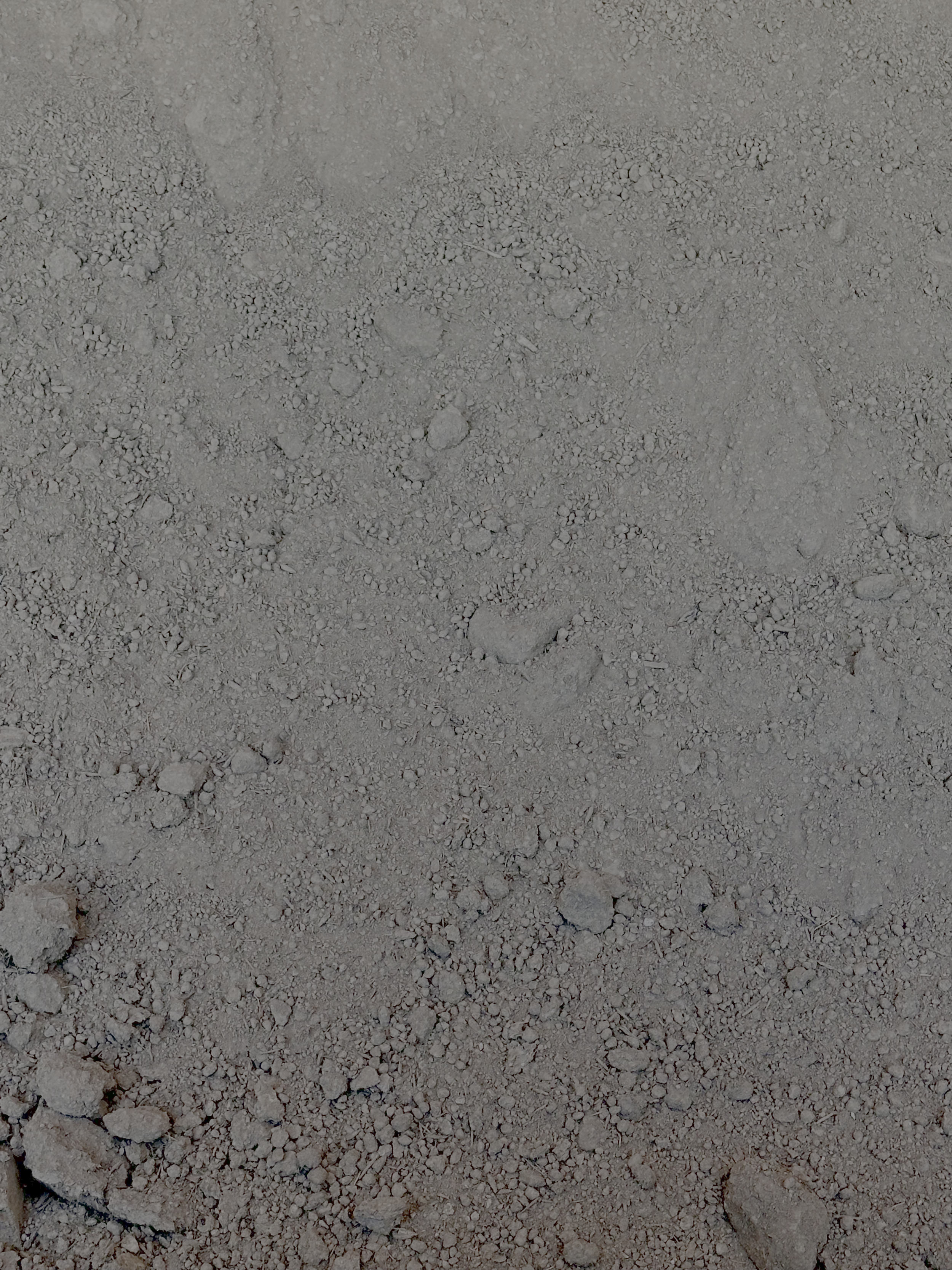 Top Soil