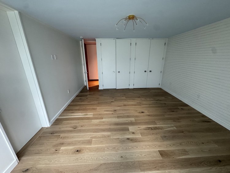 Light plank flooring in a bright room with white closet doors, white-painted brick, and a gold ceiling light.