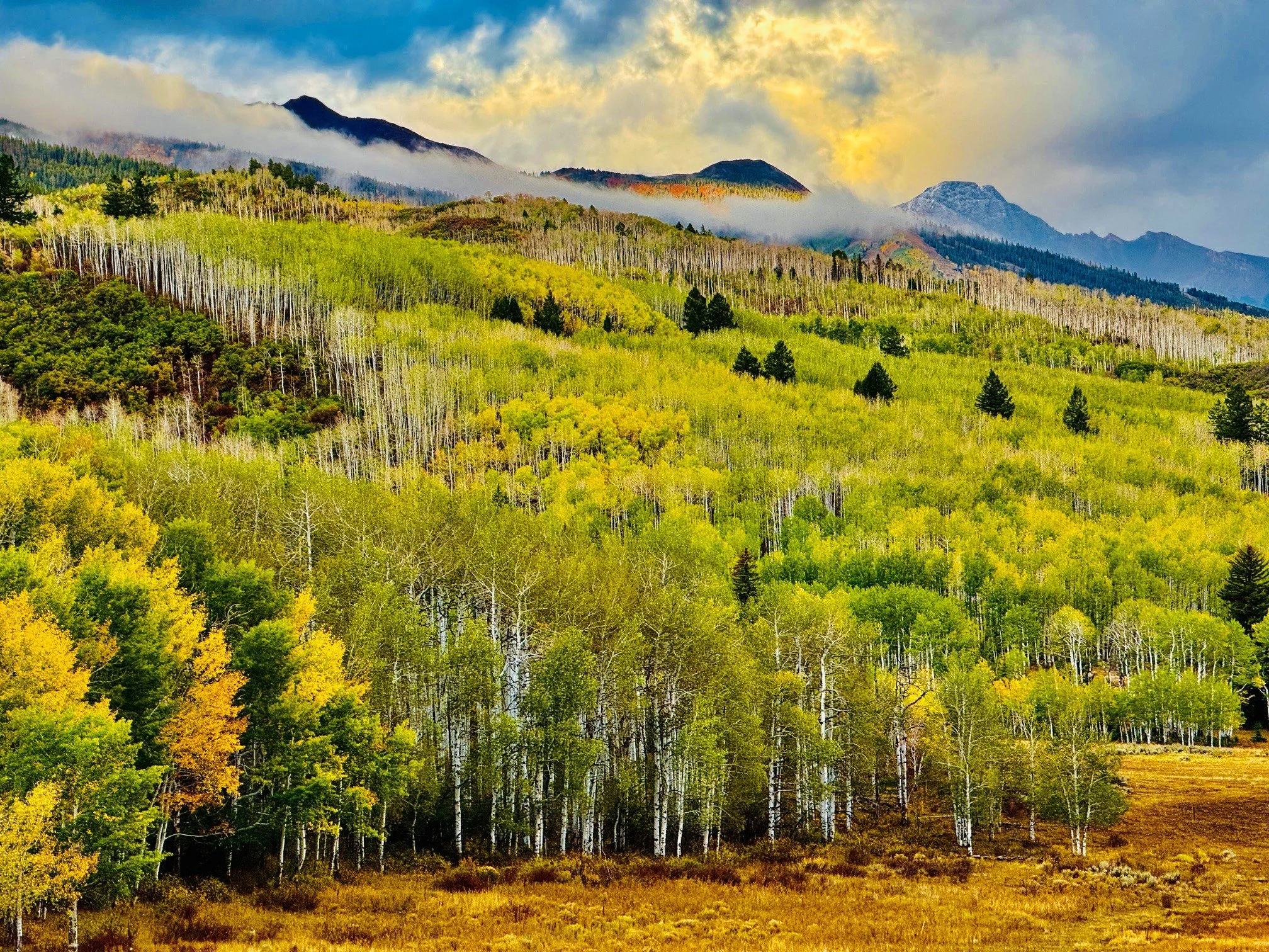 Golden and green aspen forest beneath mountain peaks and dramatic autumn clouds