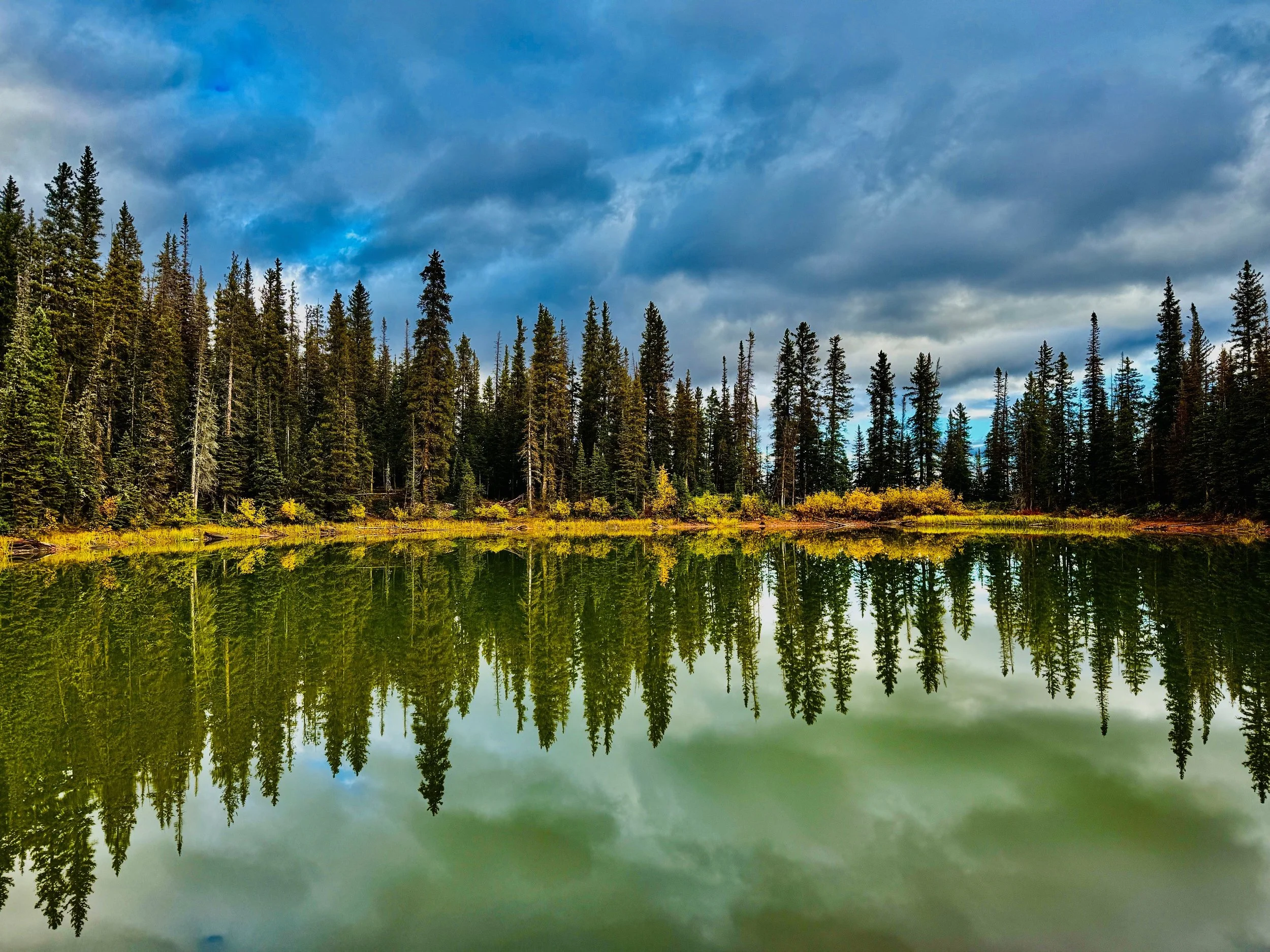 Evergreen trees reflected in a still alpine lake beneath dramatic blue clouds