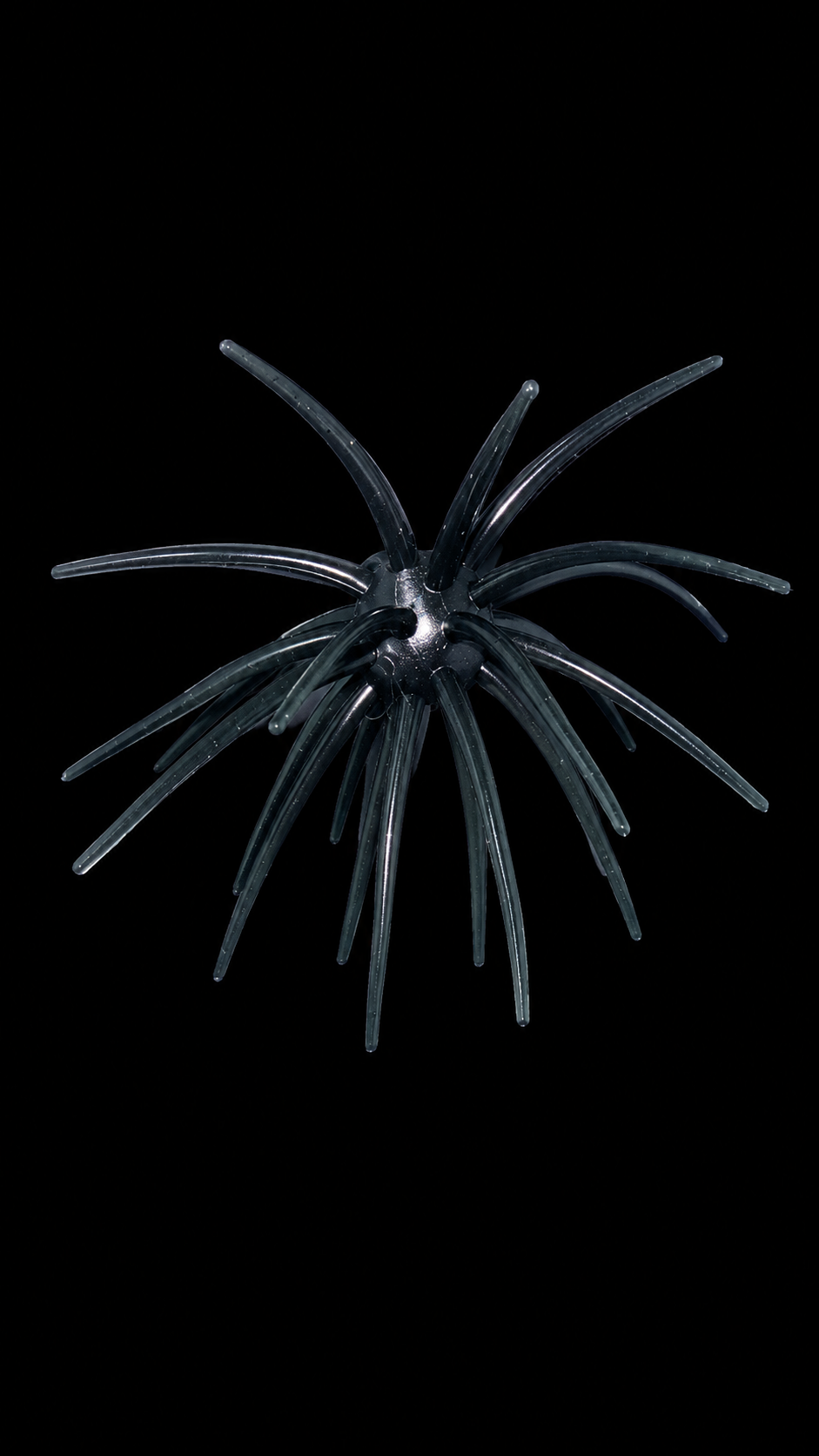 BLACK BOMB
