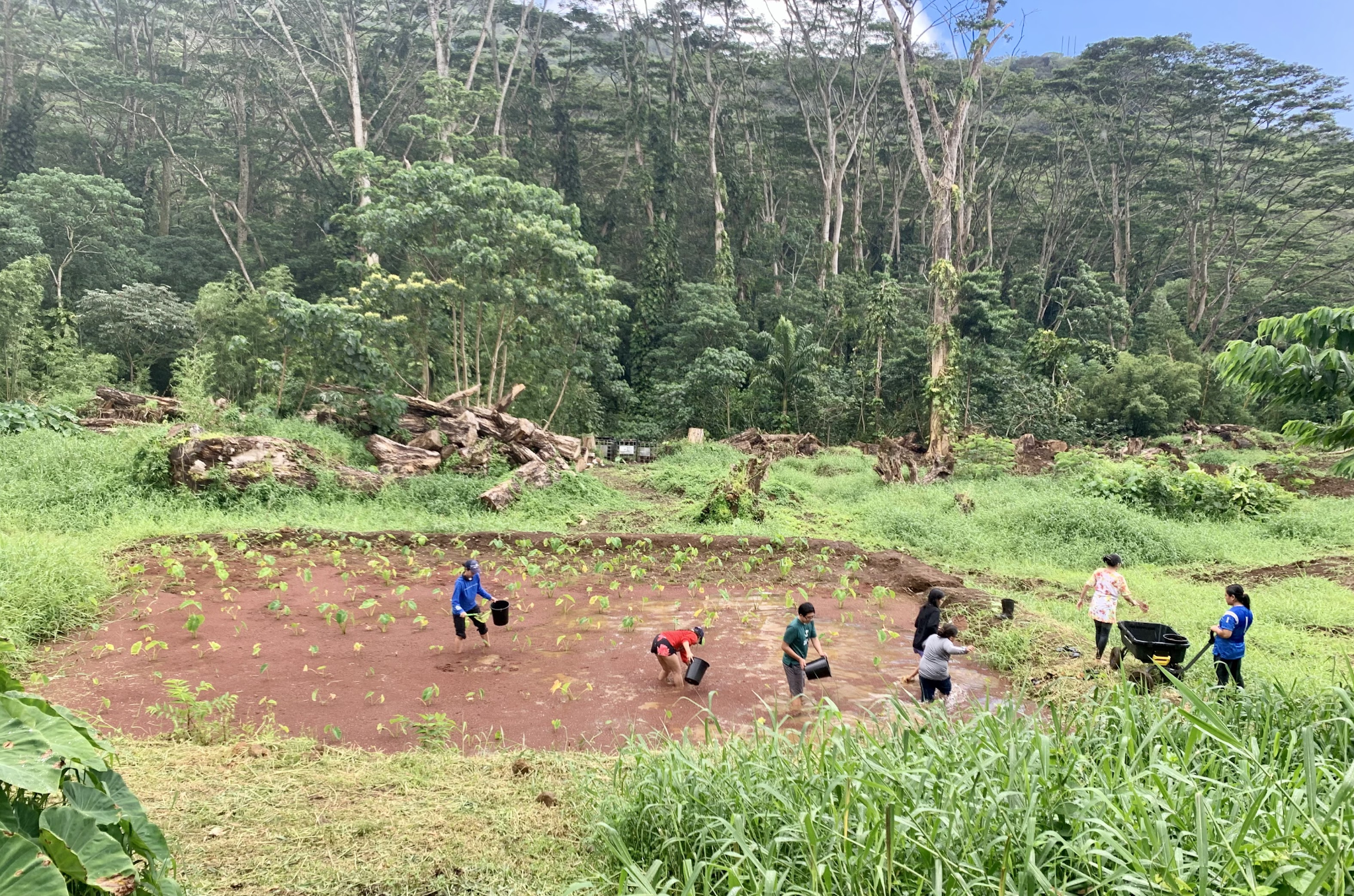 Traditional Hawaiian craft demonstration at Kumuola