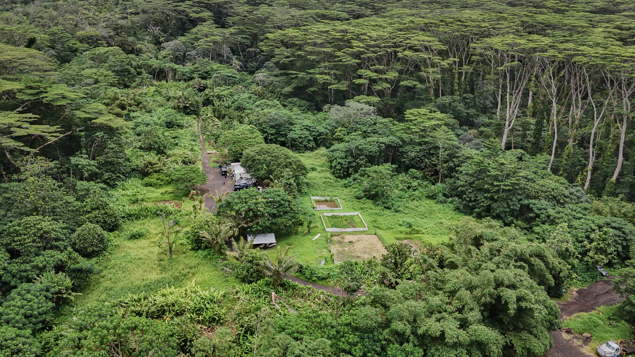 Cultural learning and lei making in Mānoa Valley
