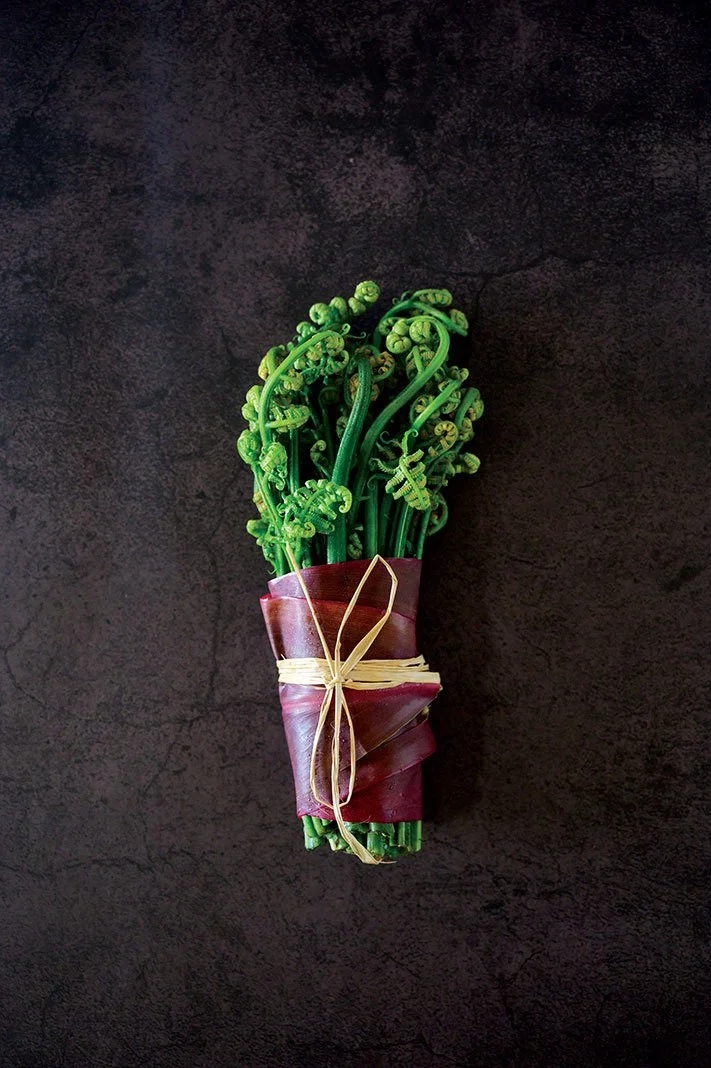 Fresh pōhole fern shoots