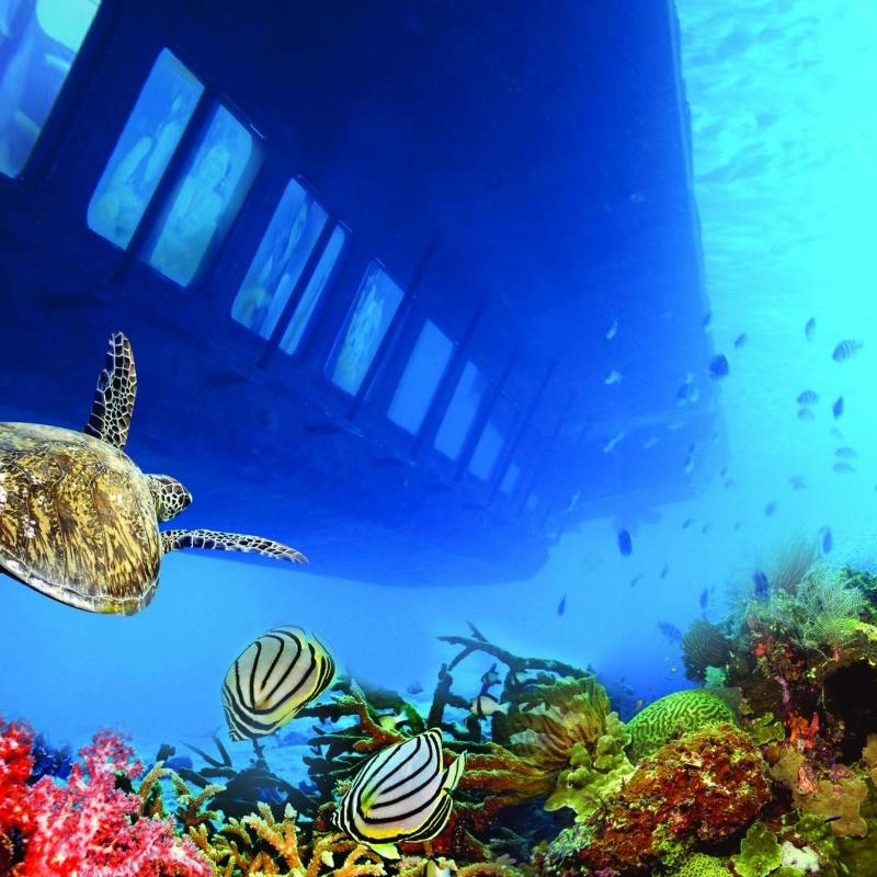An underwater viewing vessel above coral, fish, and a sea turtle