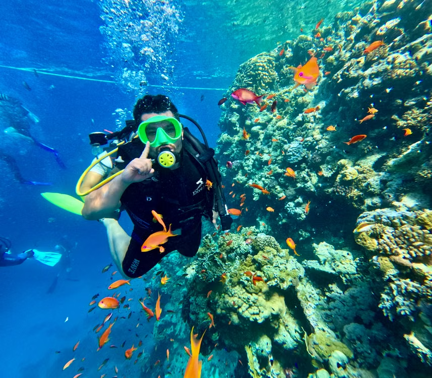 A scuba diver beside a colorful coral reef and tropical fish