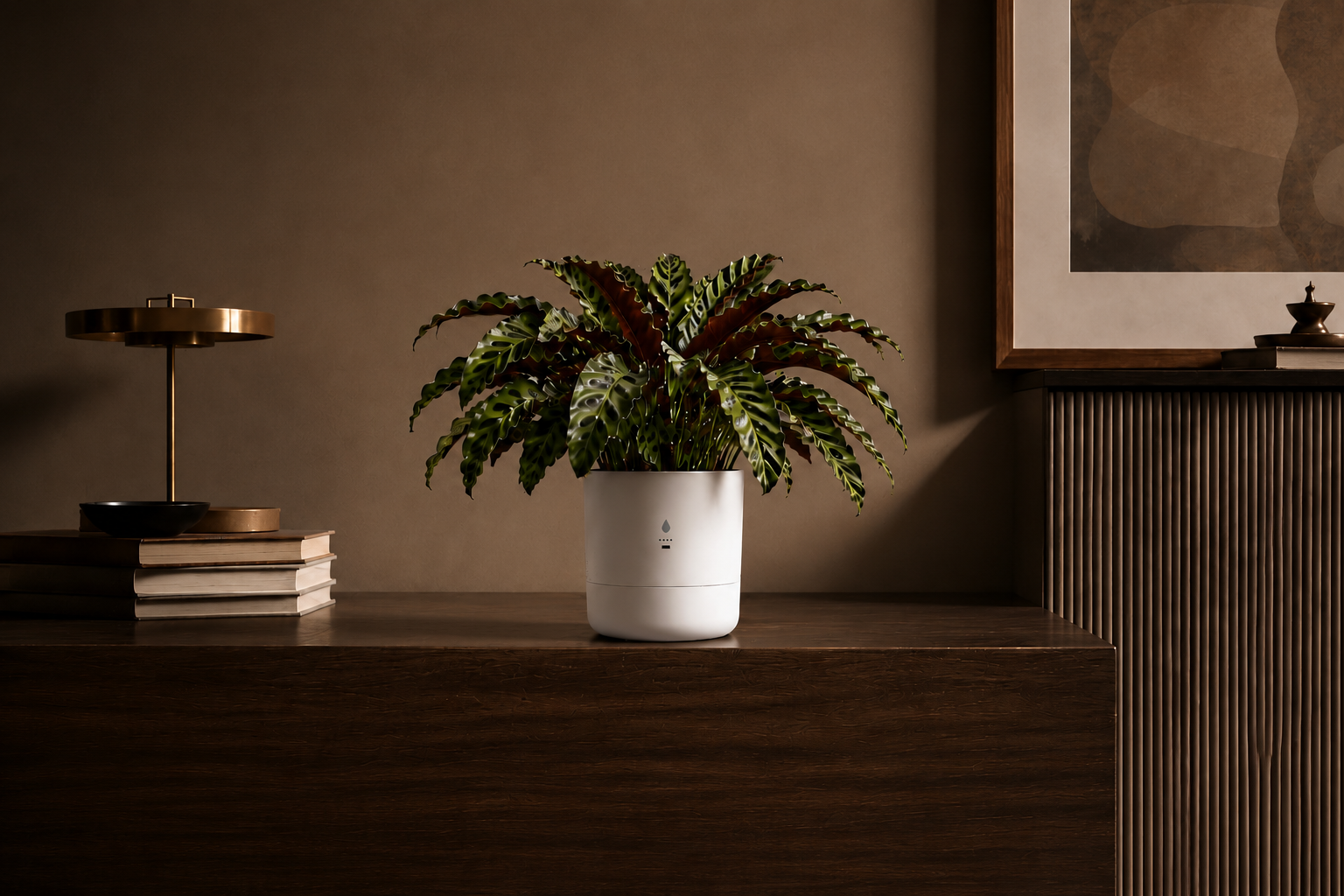 Planta saudável com VERANA