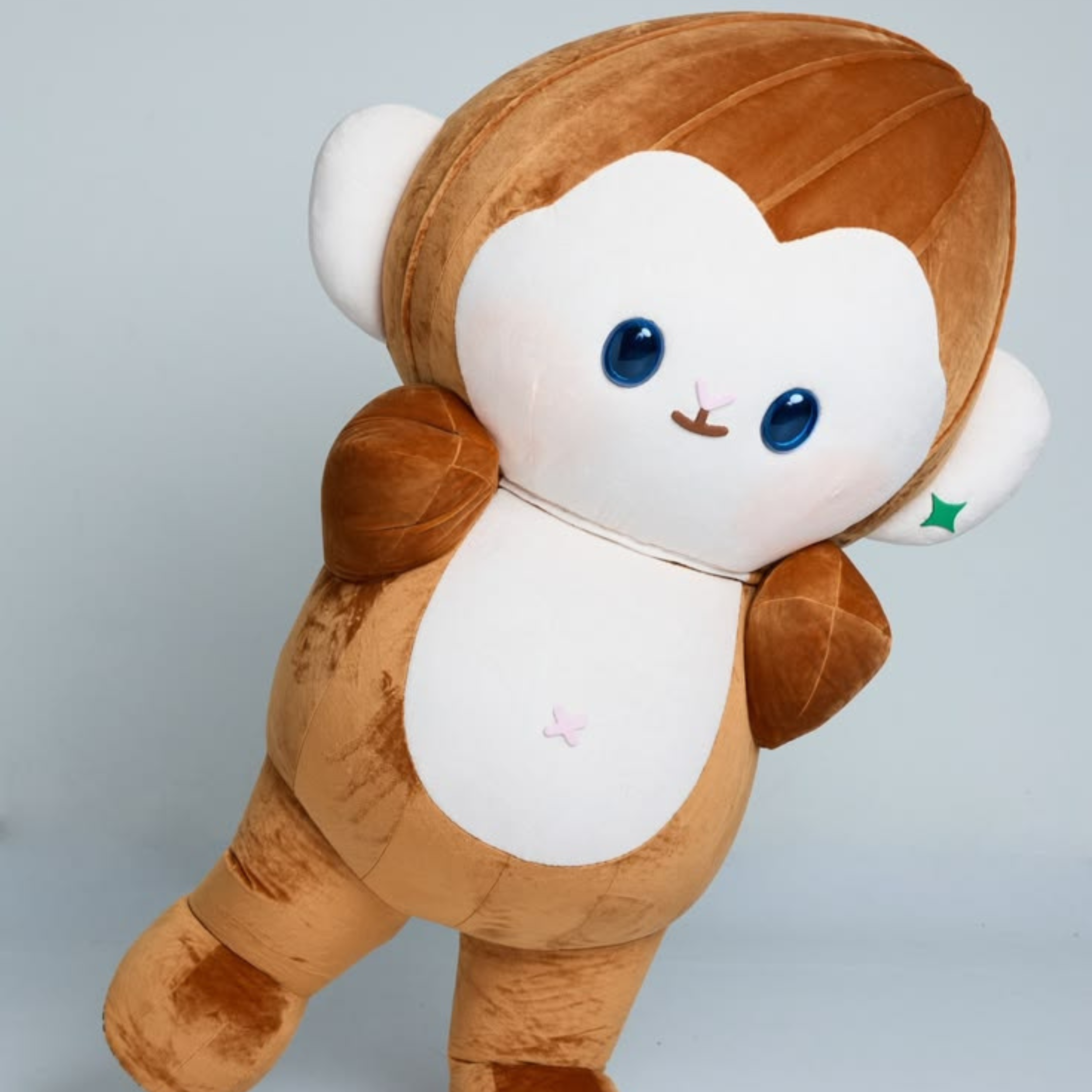PonPon Mascot