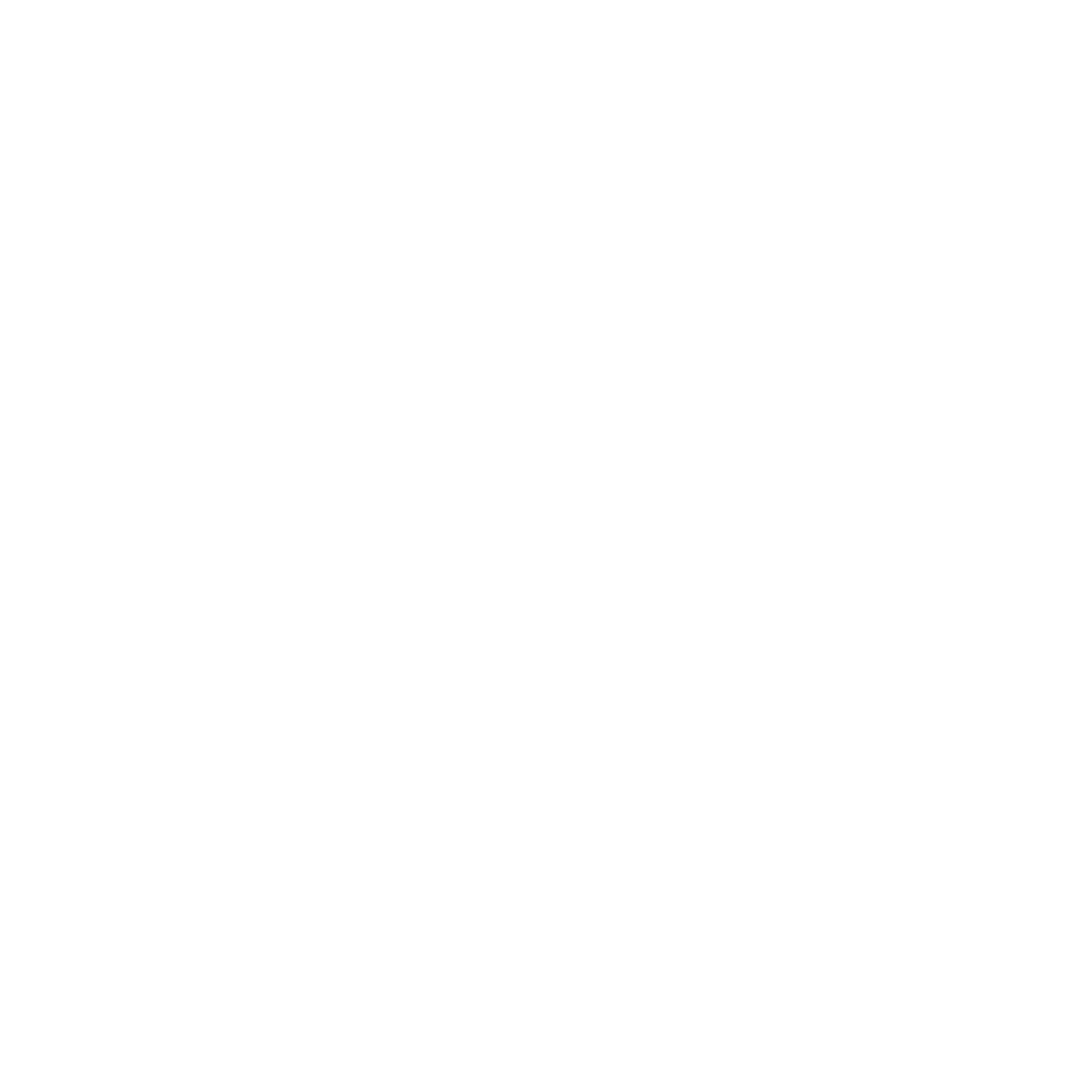 20+ Years Mentoring, Coaching, and Facilitation