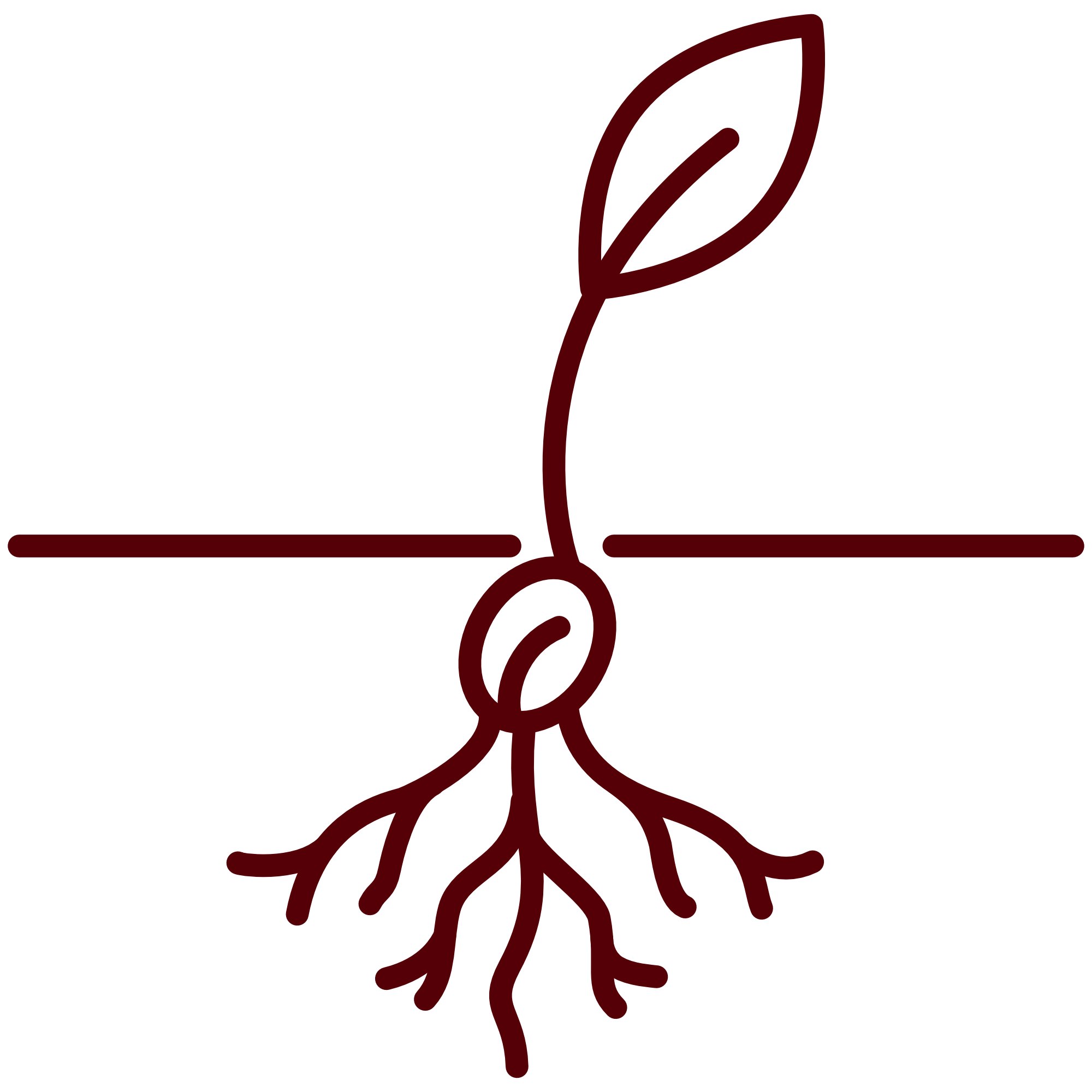 Seed growing