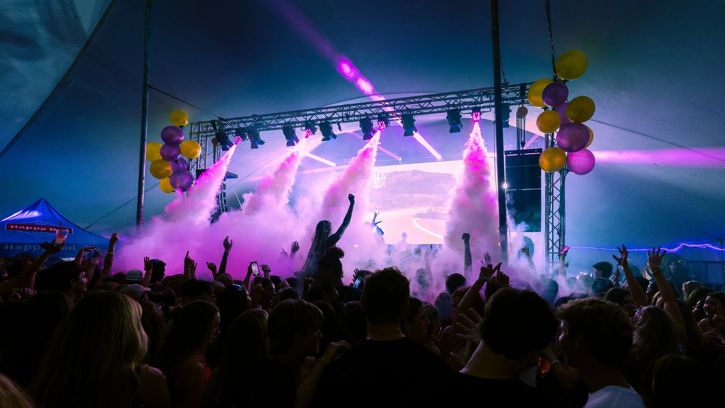 Artist performing into the crowd