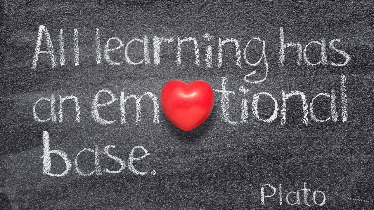 Social Emotional Learning Books for Children