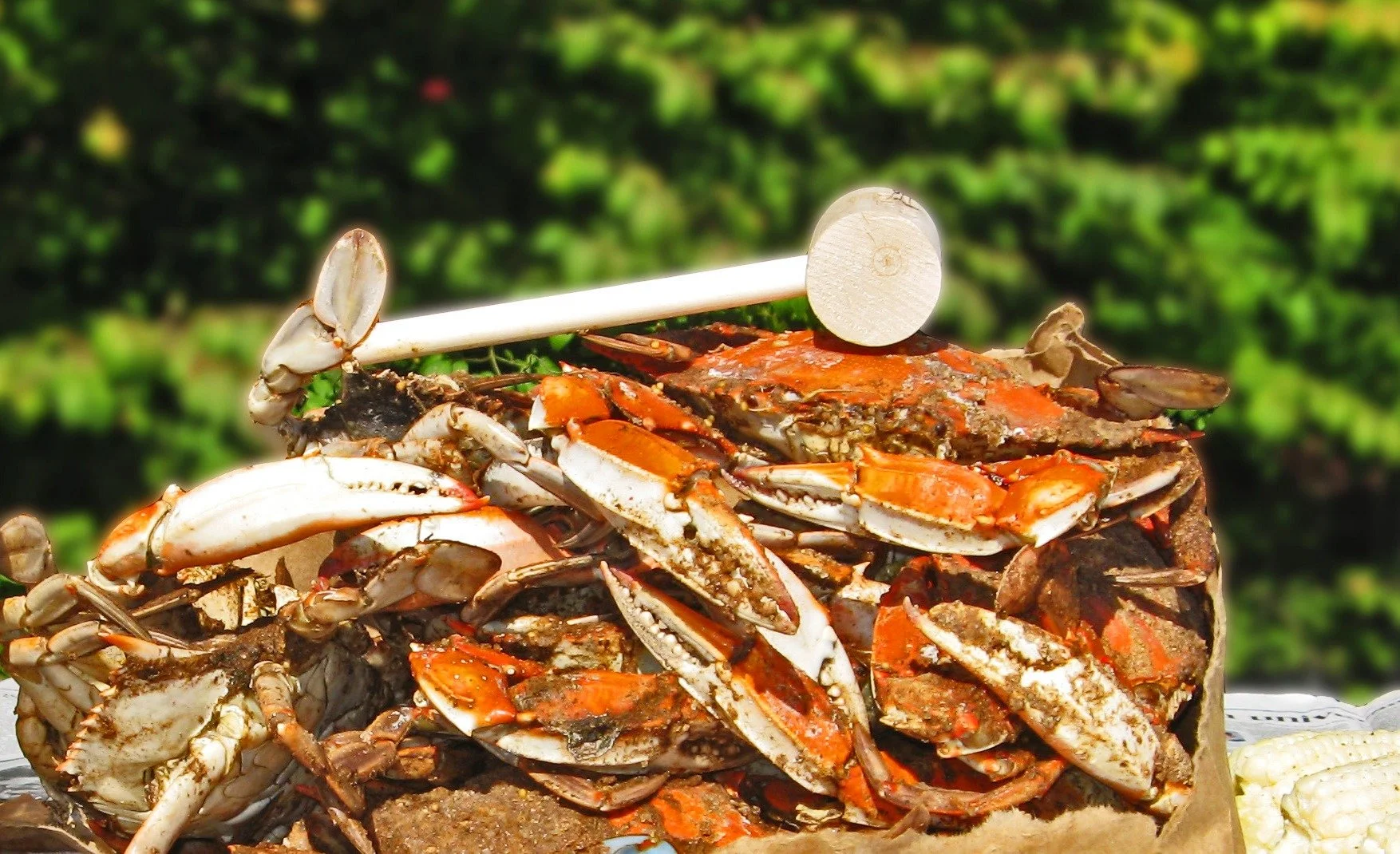 Steamed Crabs - Cooking Classes & Cooking Team Building - VictorsFood