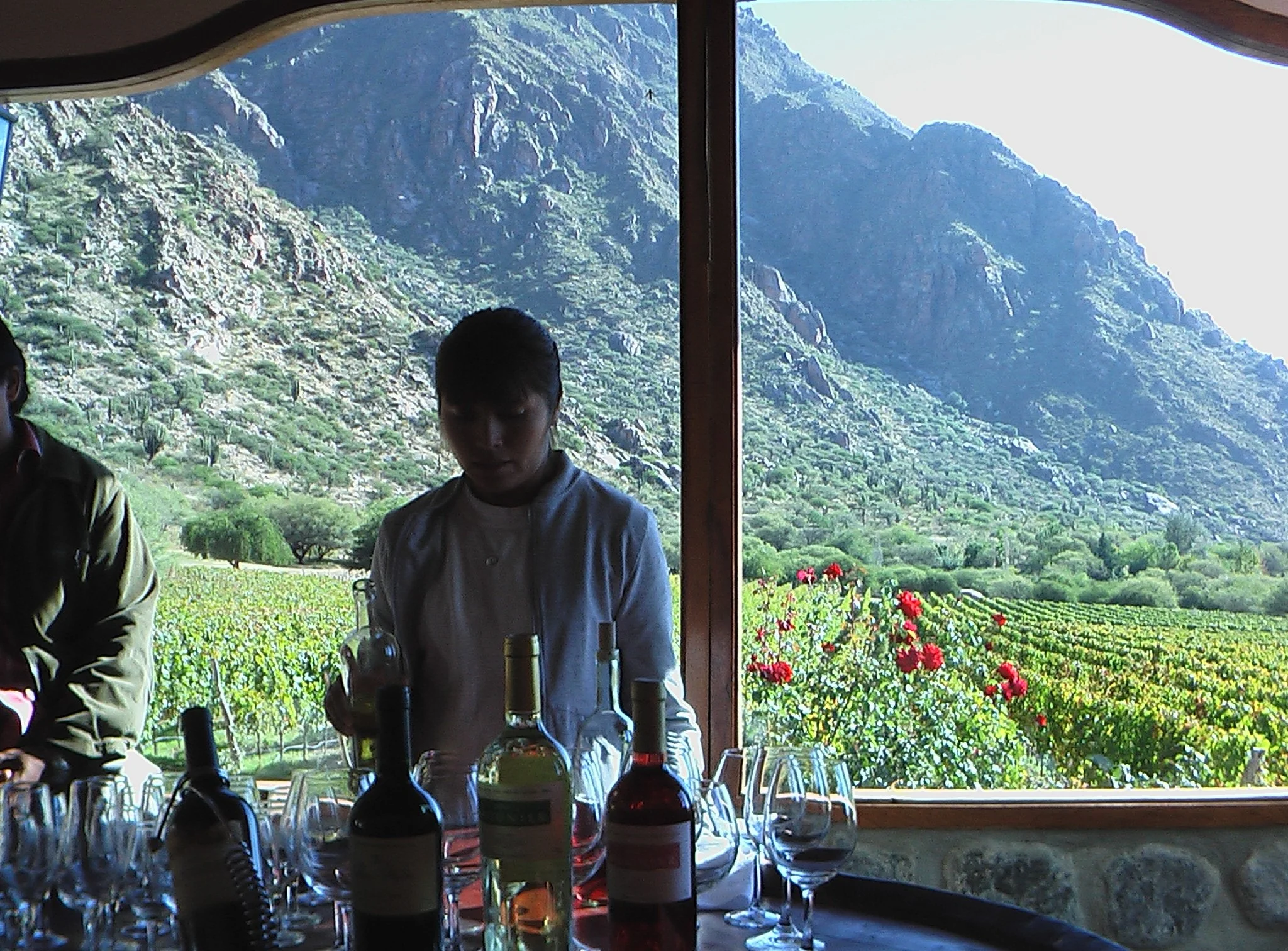 Argentina Food Tour - Cafayete Winery - VictorsFood