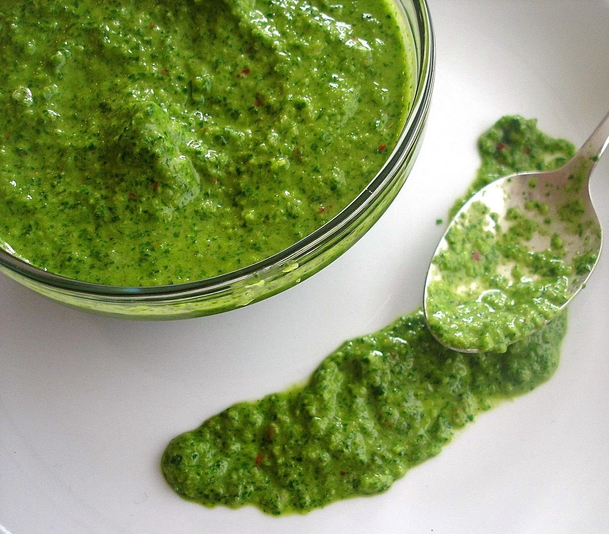 Argentine chimichurri sauce - blended