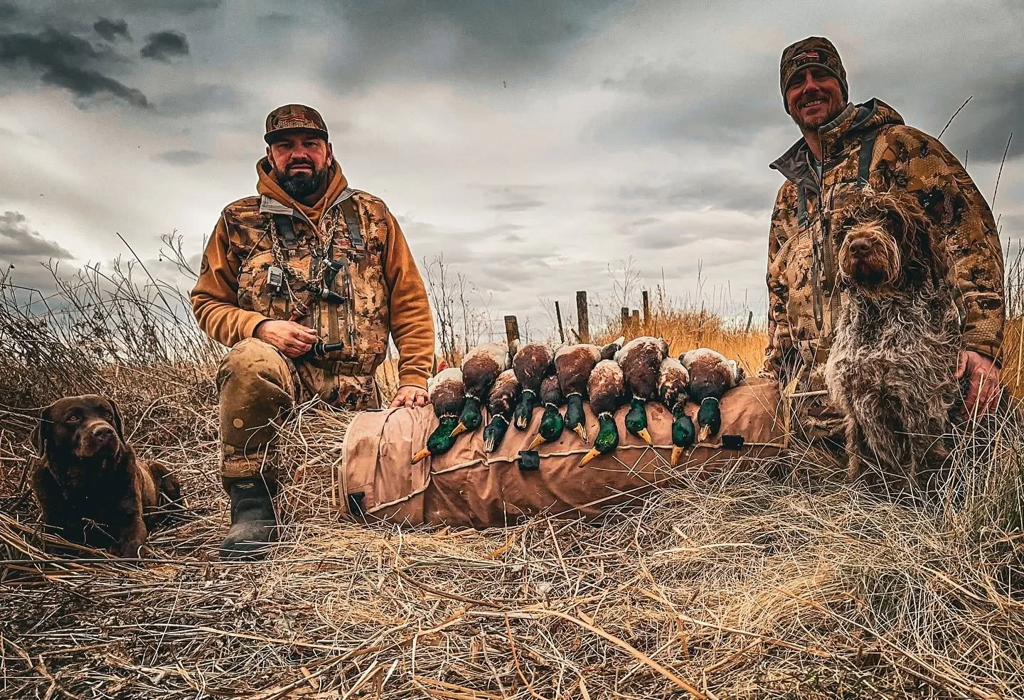 Hunters with their retriever and ducks in the field