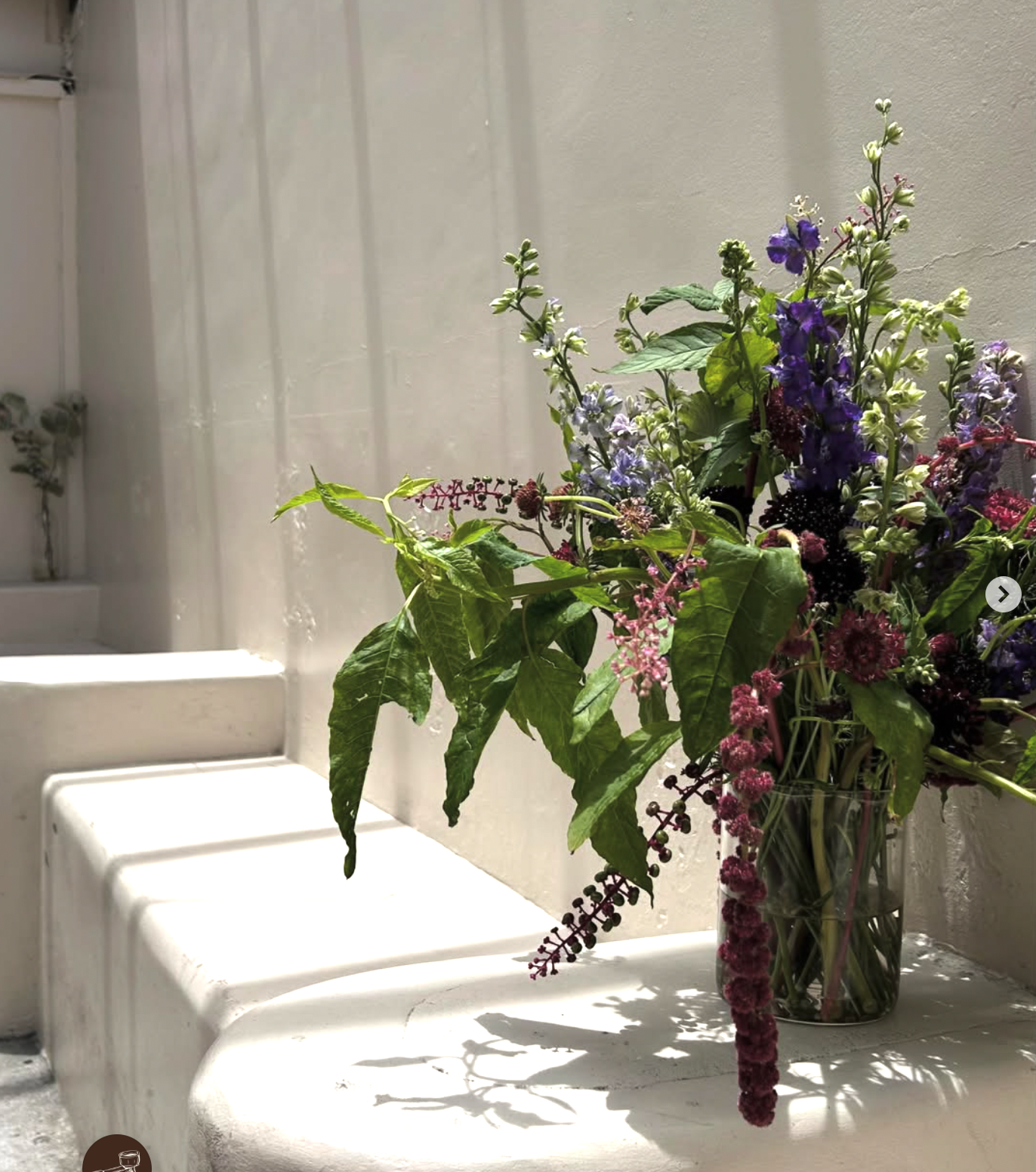 Purple and green floral arrangement in sunlight