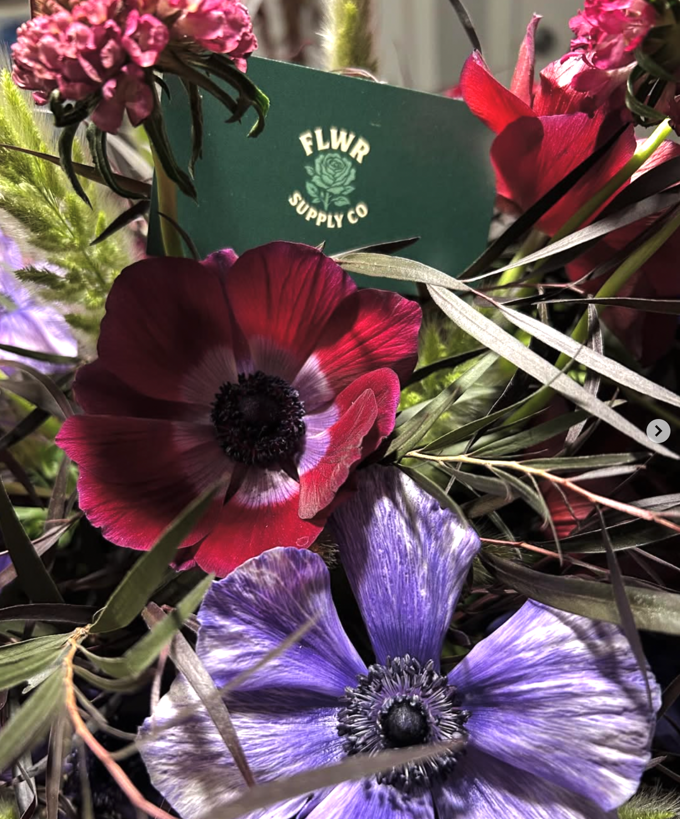 FLWR Supply Co card among burgundy and lavender anemones