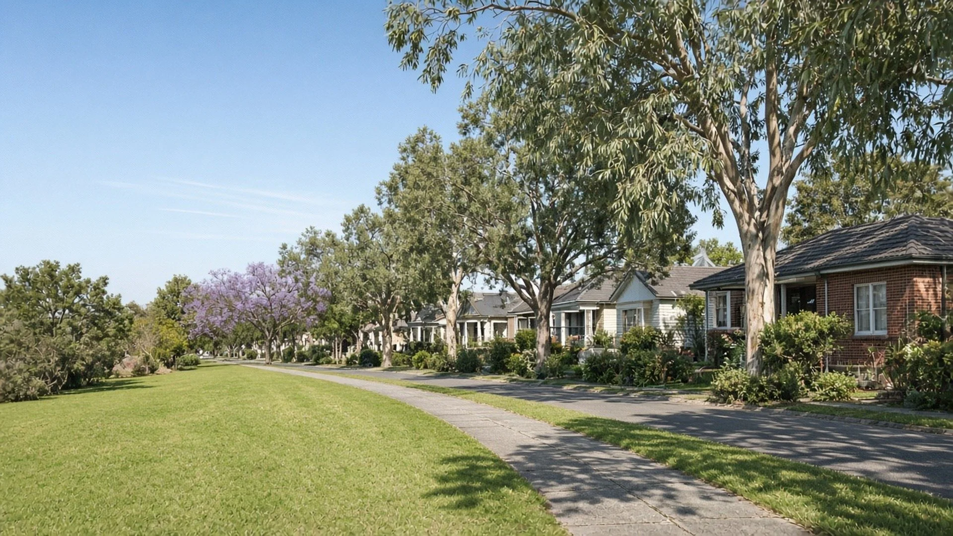 Leafy Brisbane suburban street with brick and weatherboard homes and a flowering jacaranda in bright daylight.