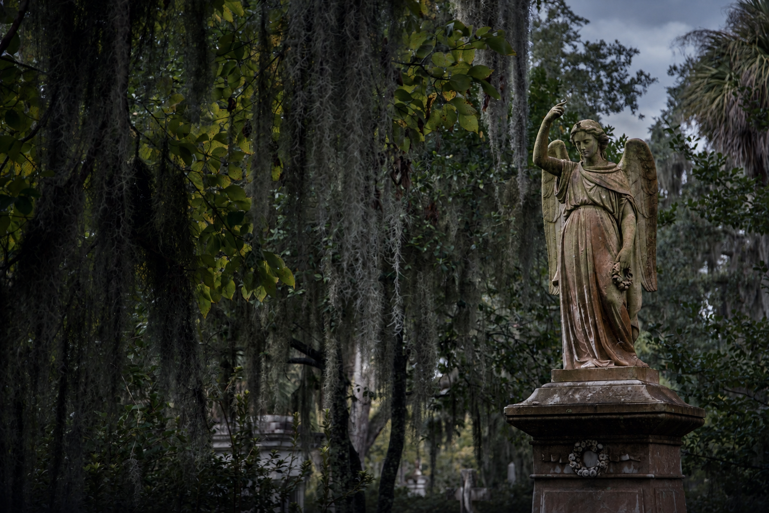 Angel monument beneath Spanish moss in Bonaventure Cemetery, Savannah
