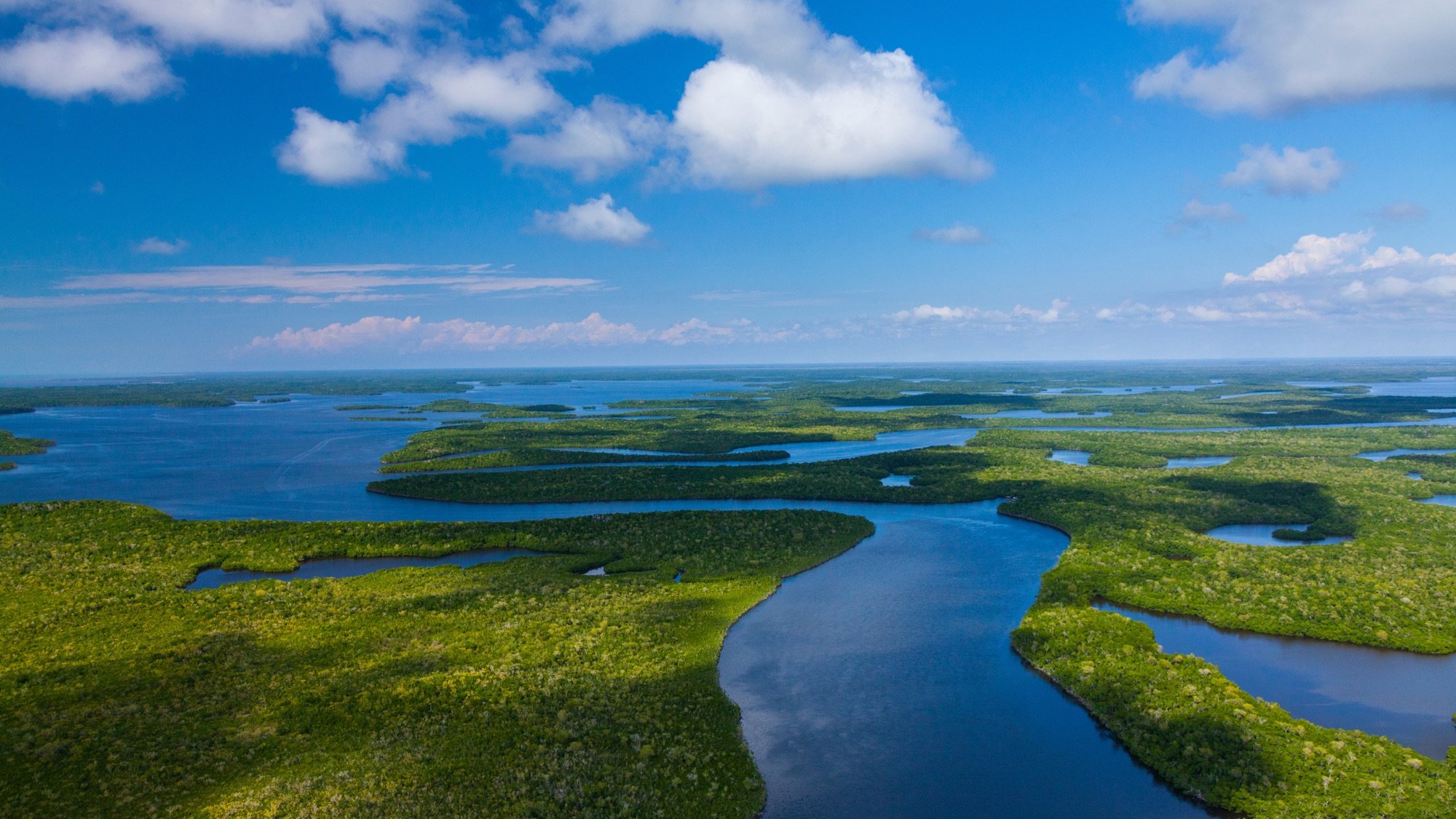 Aerial view of wetlands and waterways in Everglades National Park, Florida