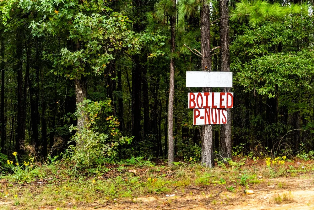 A hand-painted boiled peanuts sign beside a wooded Southern road