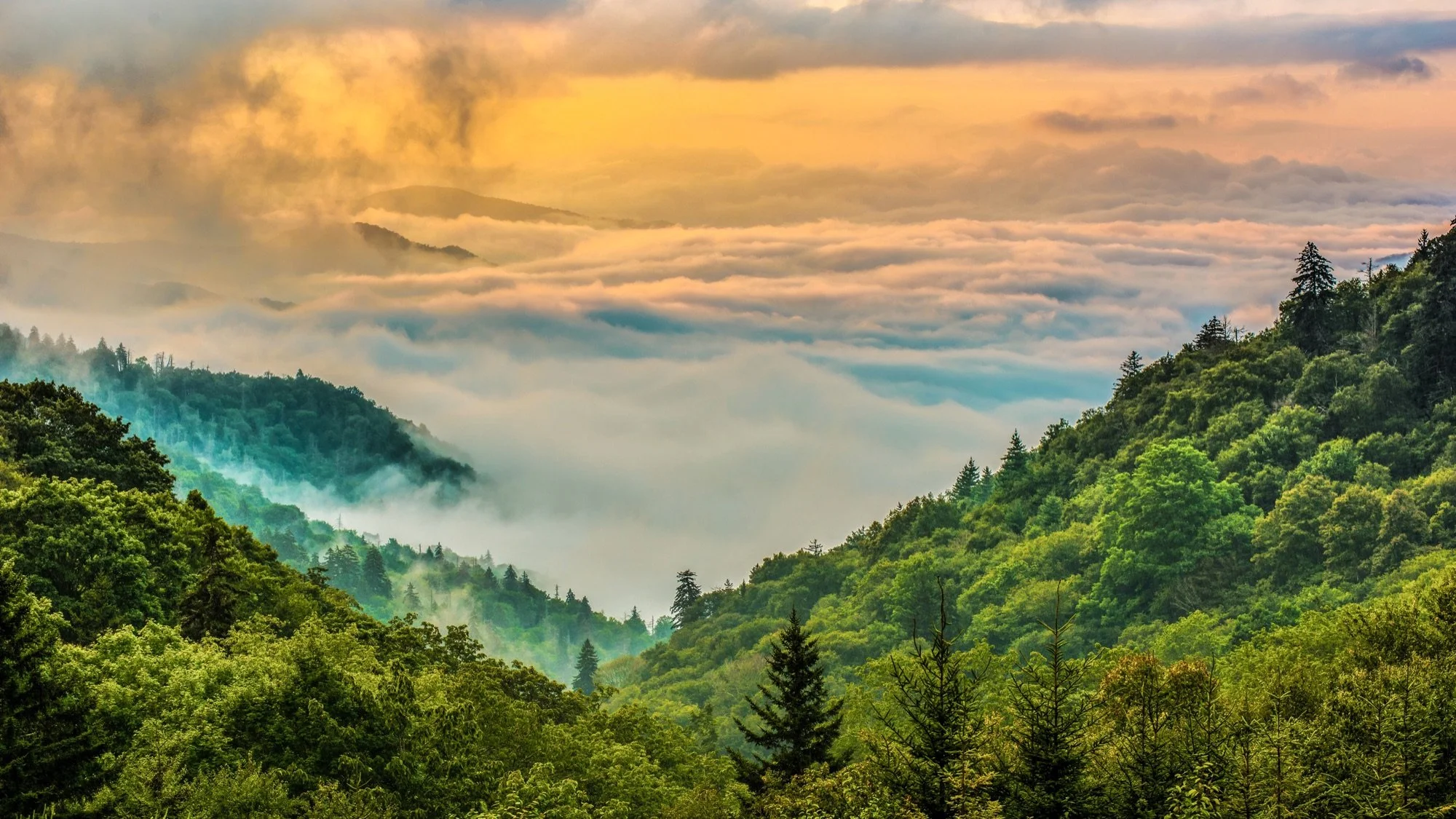 Mist and morning light filling forested valleys in Great Smoky Mountains National Park