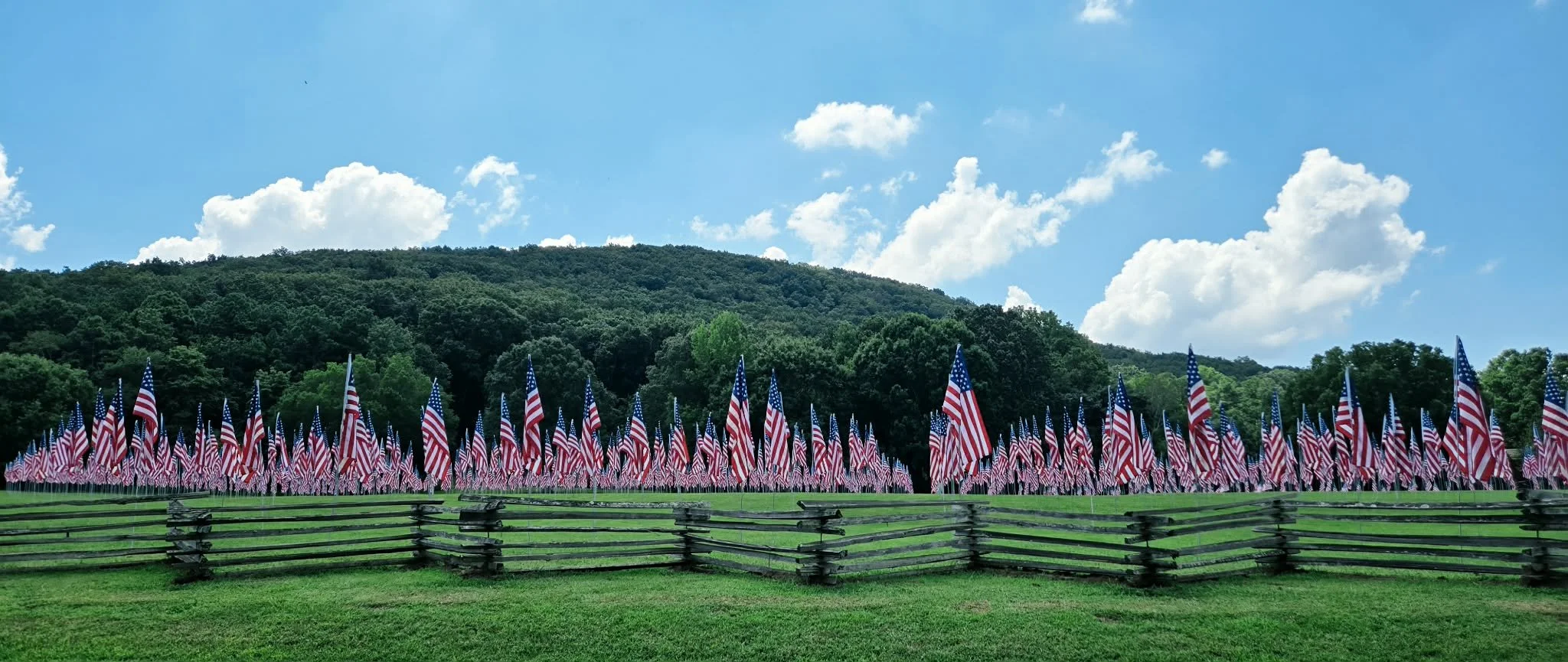 Rows of American flags at the Field of Flags memorial