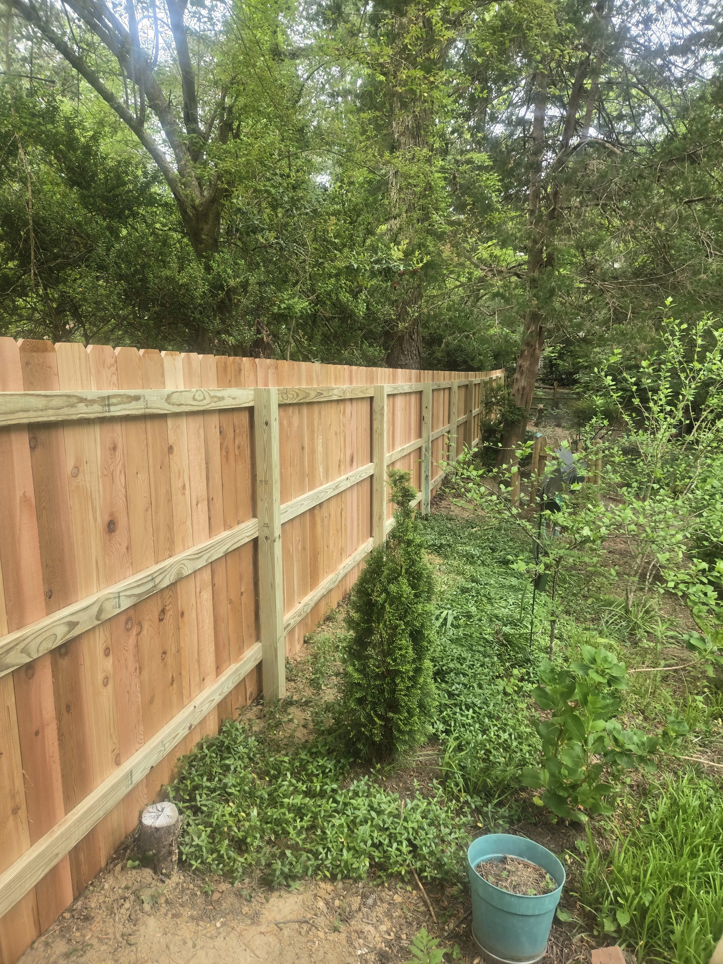 Cedar Privacy Fence