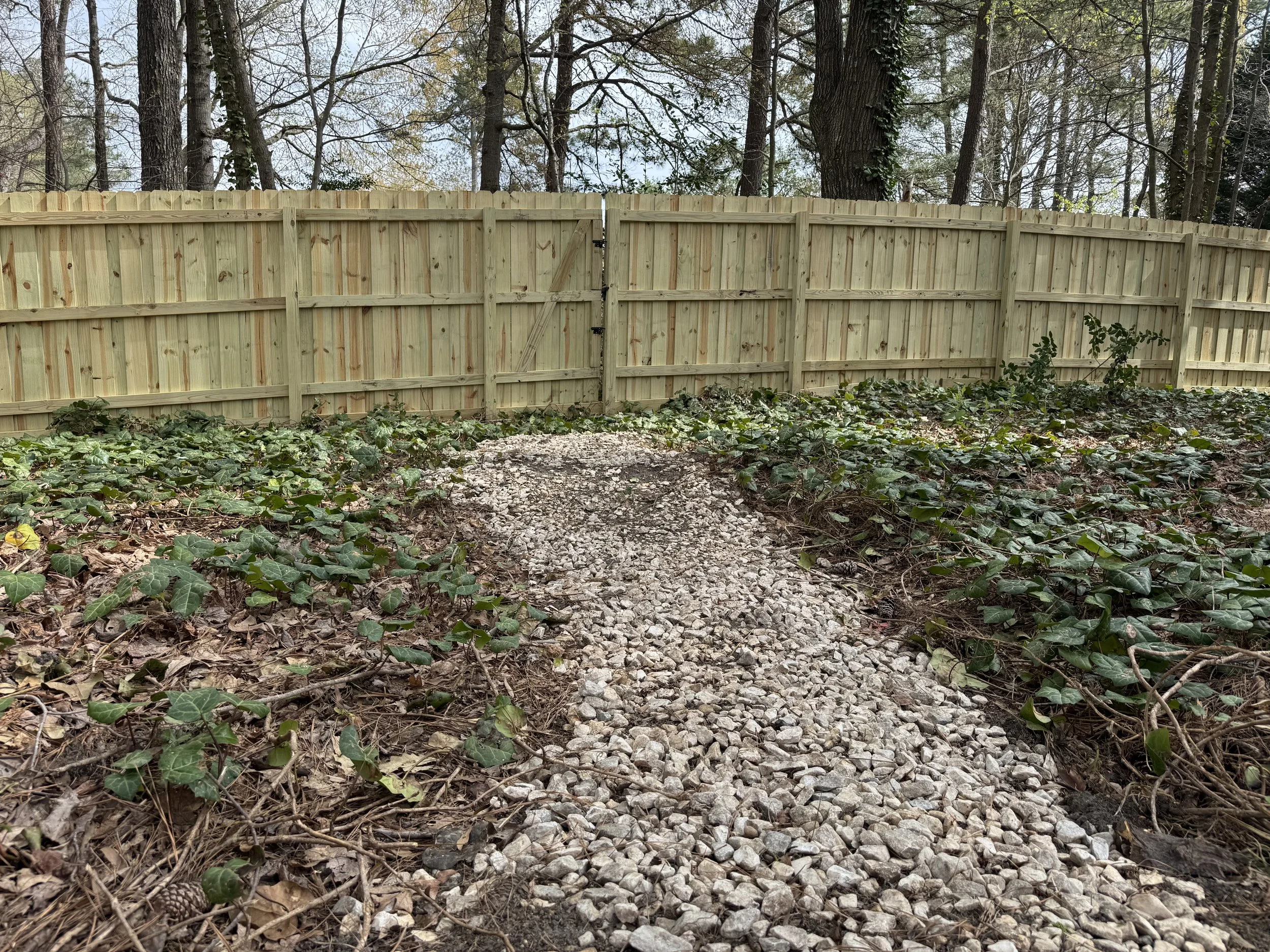 Split-Rail Fence