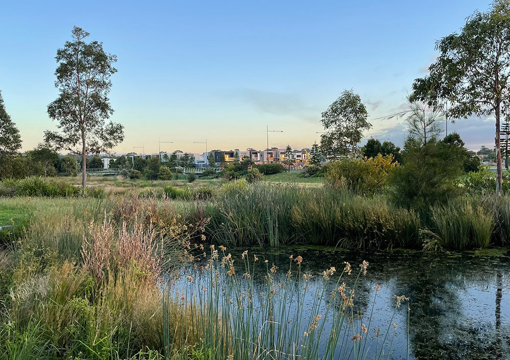 Elliminyt wetlands
