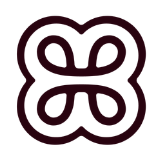 Heidi Health logo