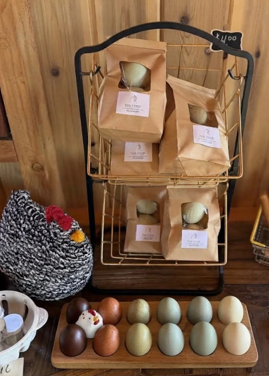 Colorful farm-fresh eggs and packaged eggs displayed at the Lucks Farm Stand