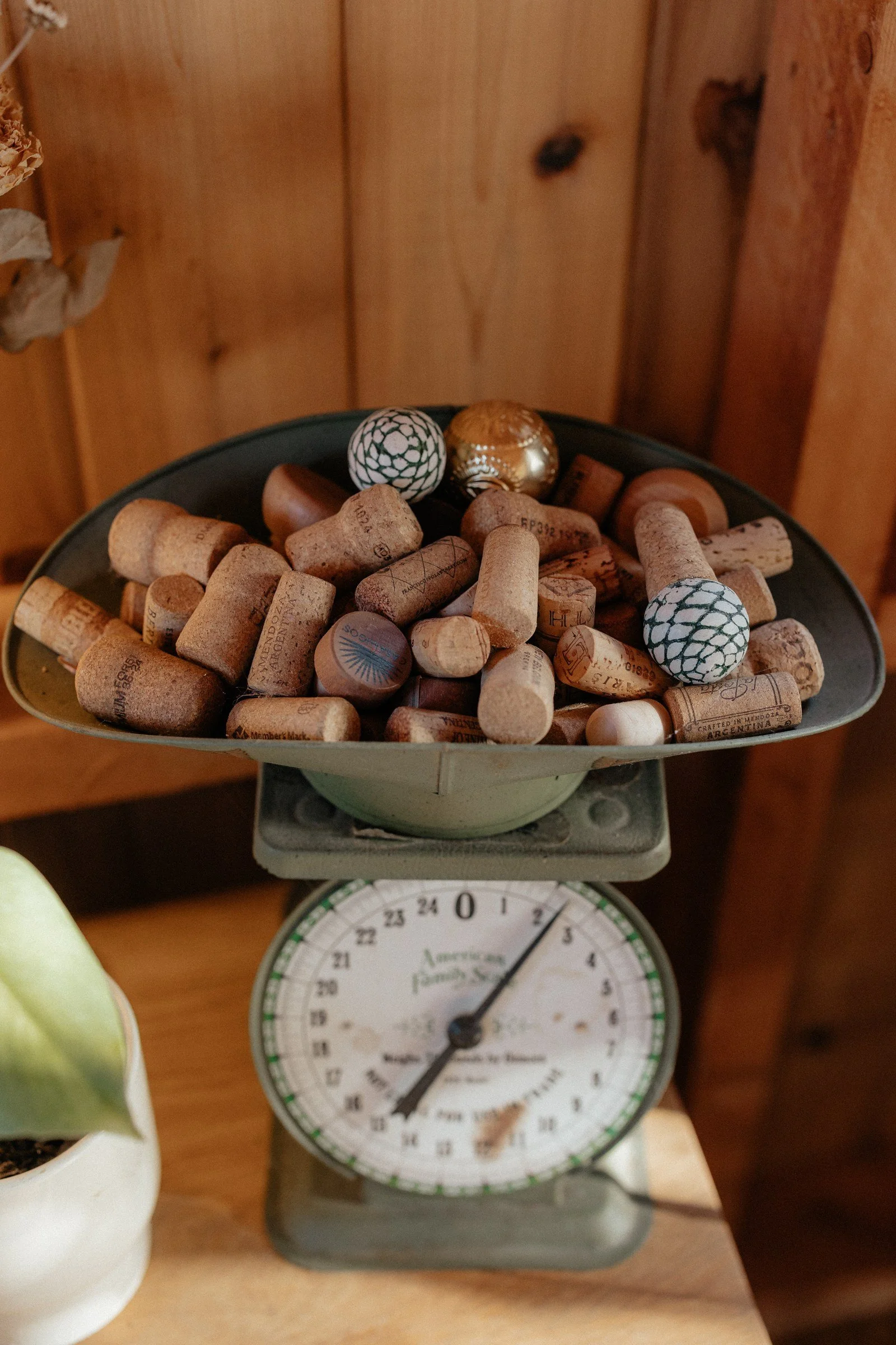 Farm eggs in a basket on a vintage scale in the Bread Shed