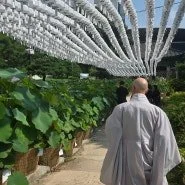 백중 우란분절 법문 관련 블로그 사진