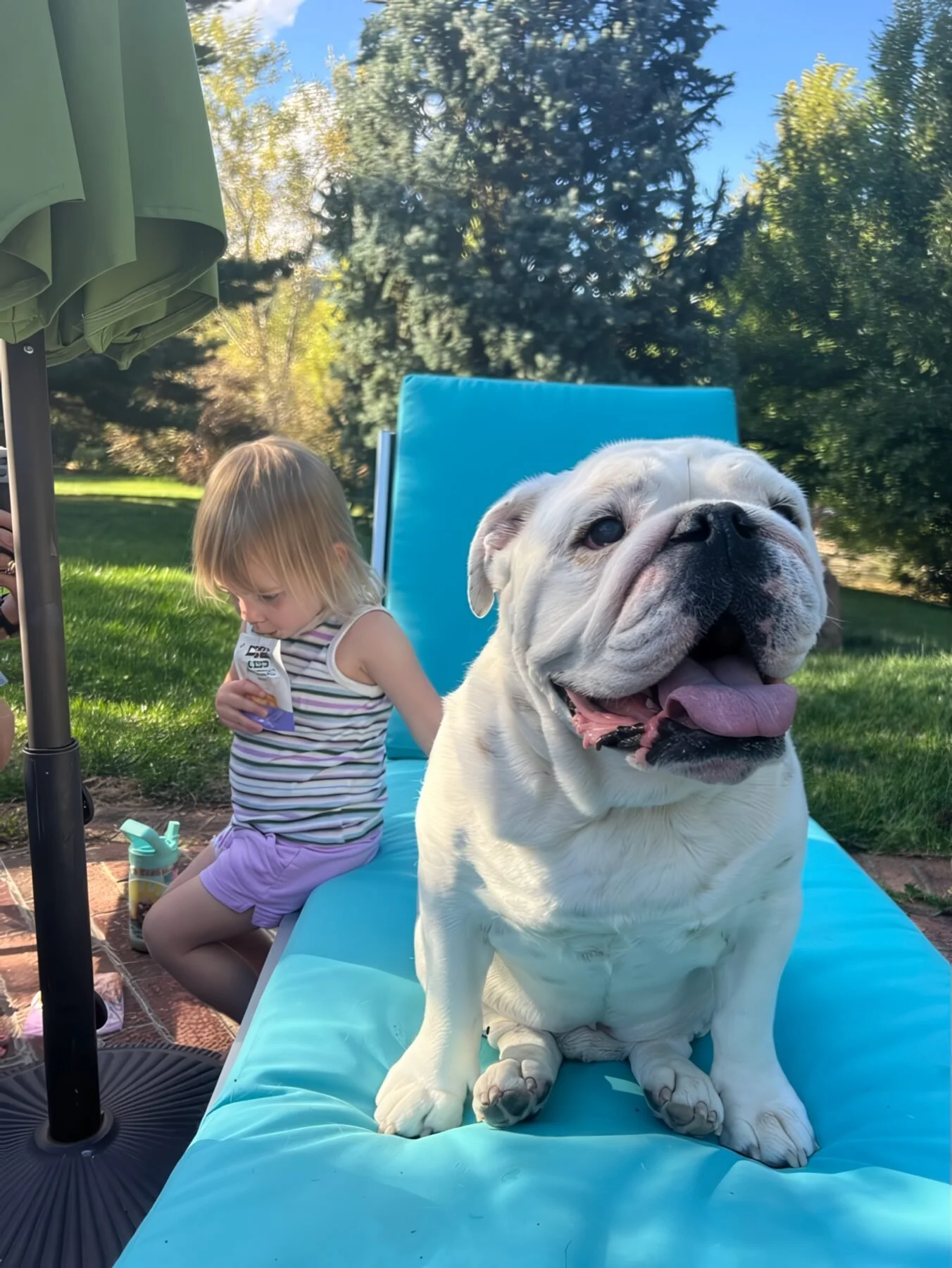Moby on a poolside lounger