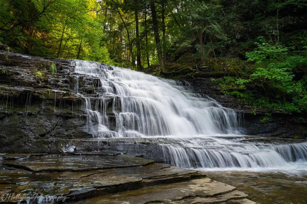 A broad waterfall flows over layered rock ledges beneath a green forest canopy.