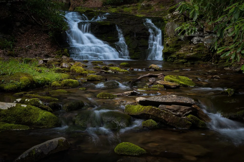 A small waterfall feeds a rocky creek surrounded by moss and forest.