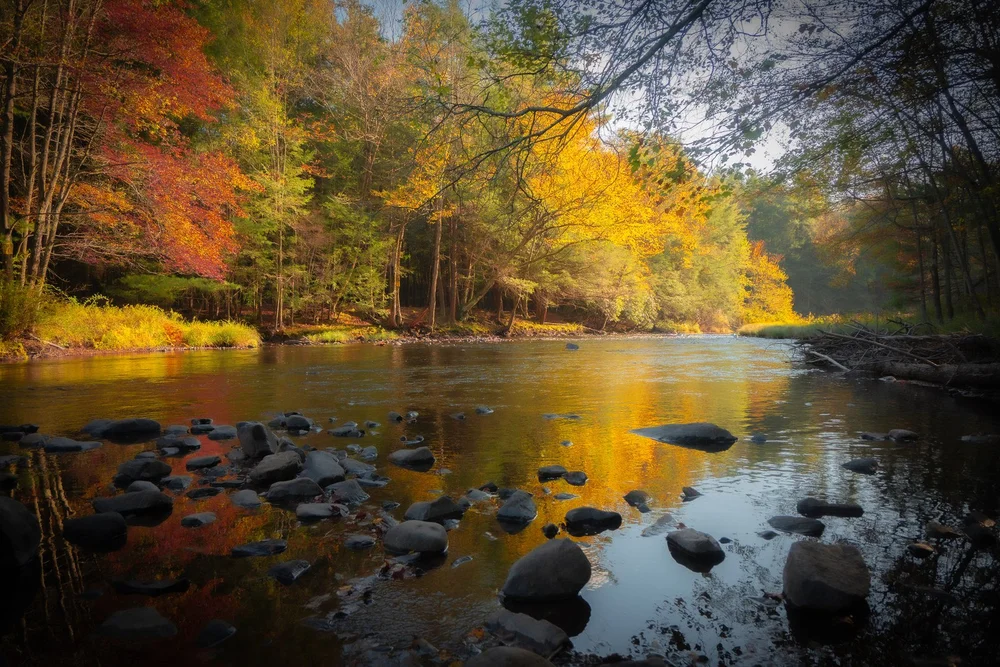 Autumn trees reflect in a quiet river scattered with dark rocks.
