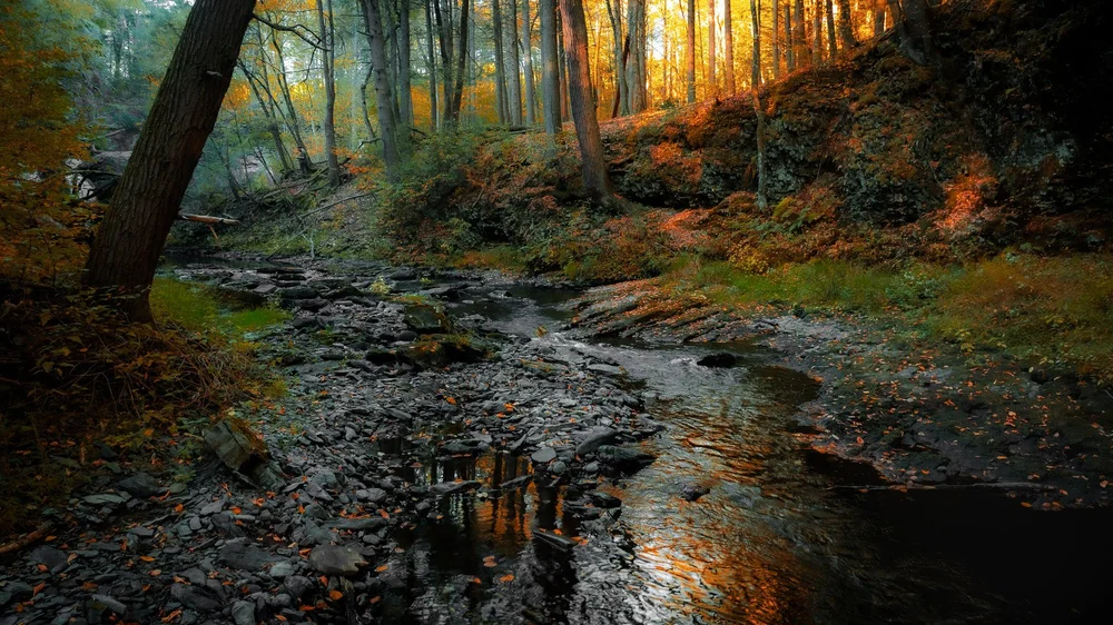 Warm autumn sunlight falls across a shallow stream and a wooded hillside.