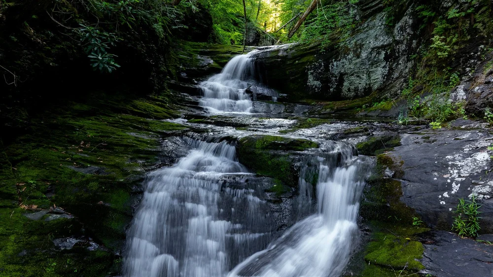 A tiered waterfall flows over dark rock and bright green moss.