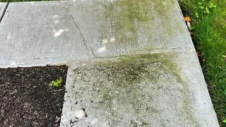 Concrete walkway before cleaning