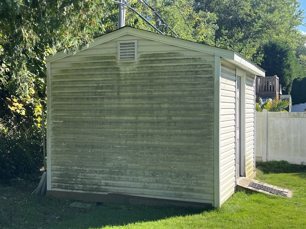 Shed cleaning before cleaning
