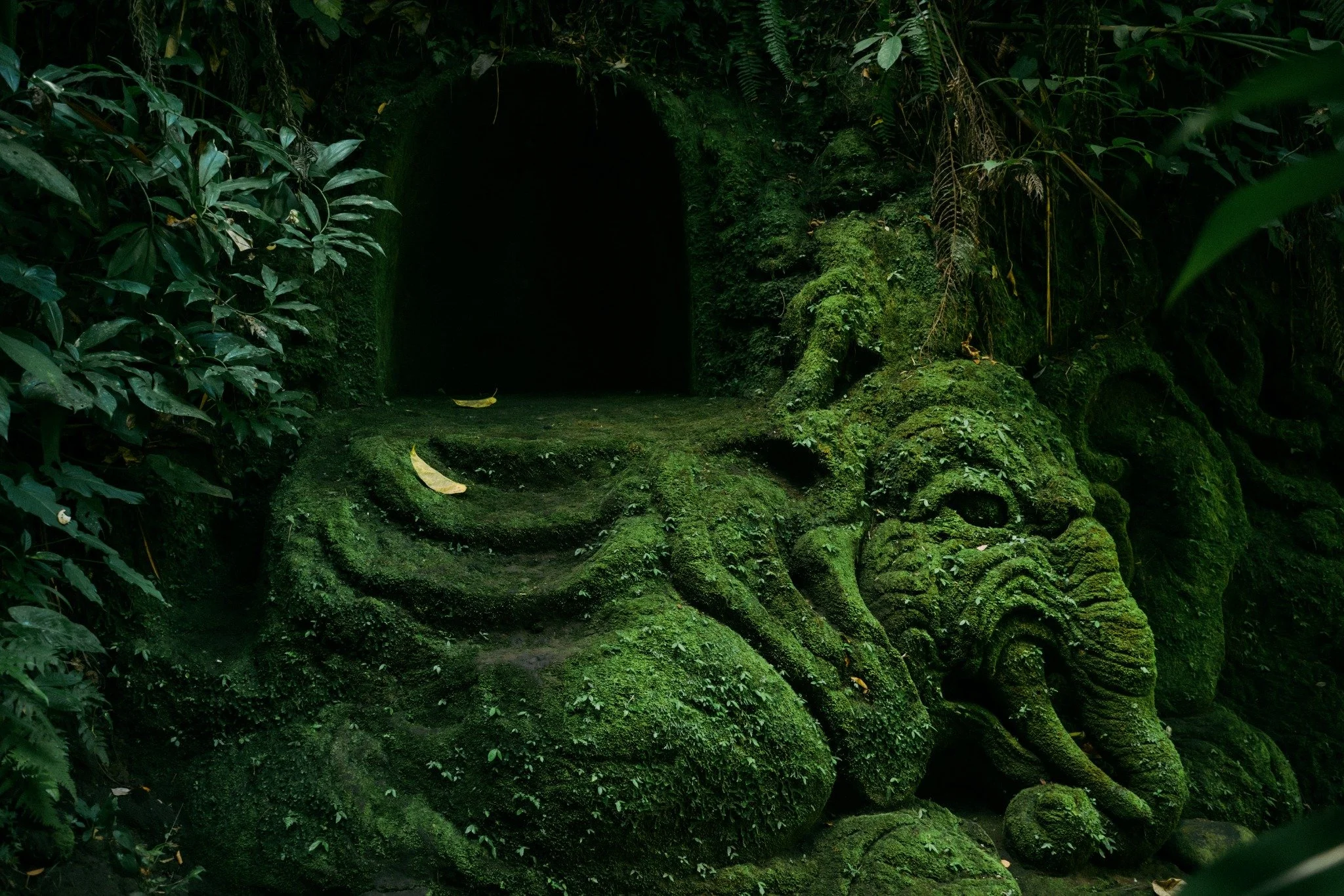 Moss-covered stone threshold in a Balinese forest