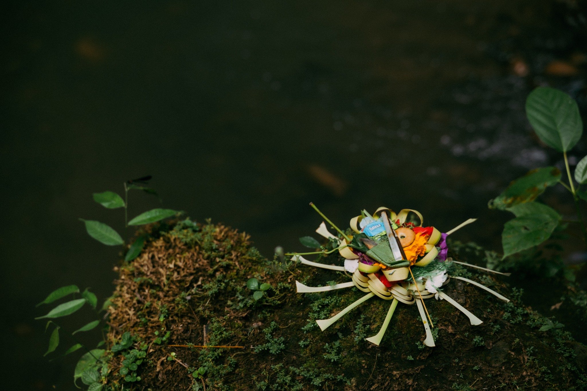 Traditional Balinese flower offering beside forest water