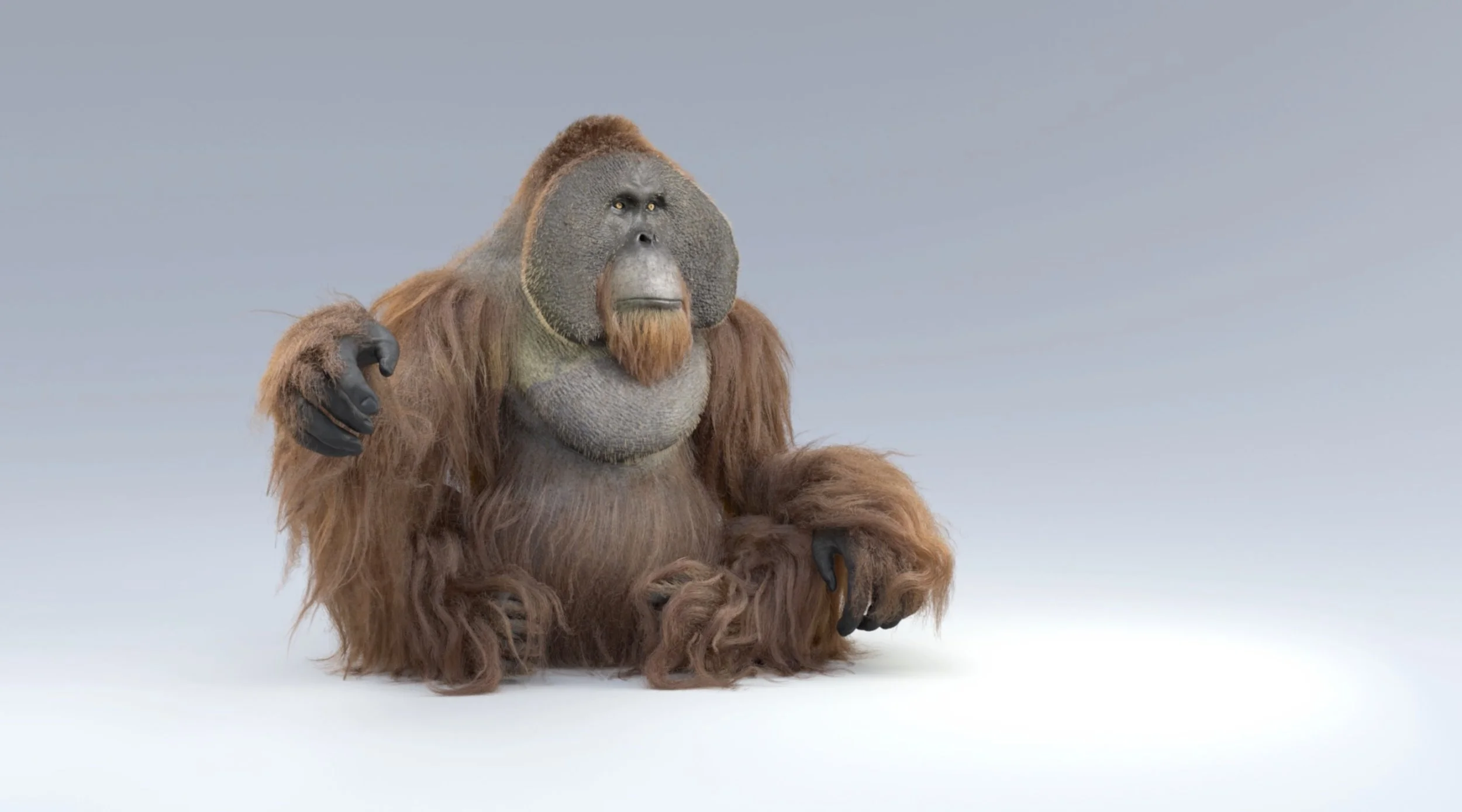 Grooming artwork by Gustavo Garcia.