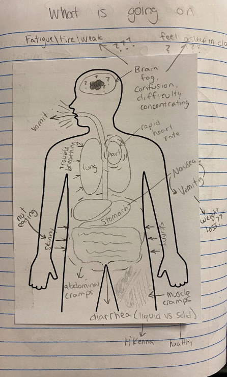 Interactive science notebook example