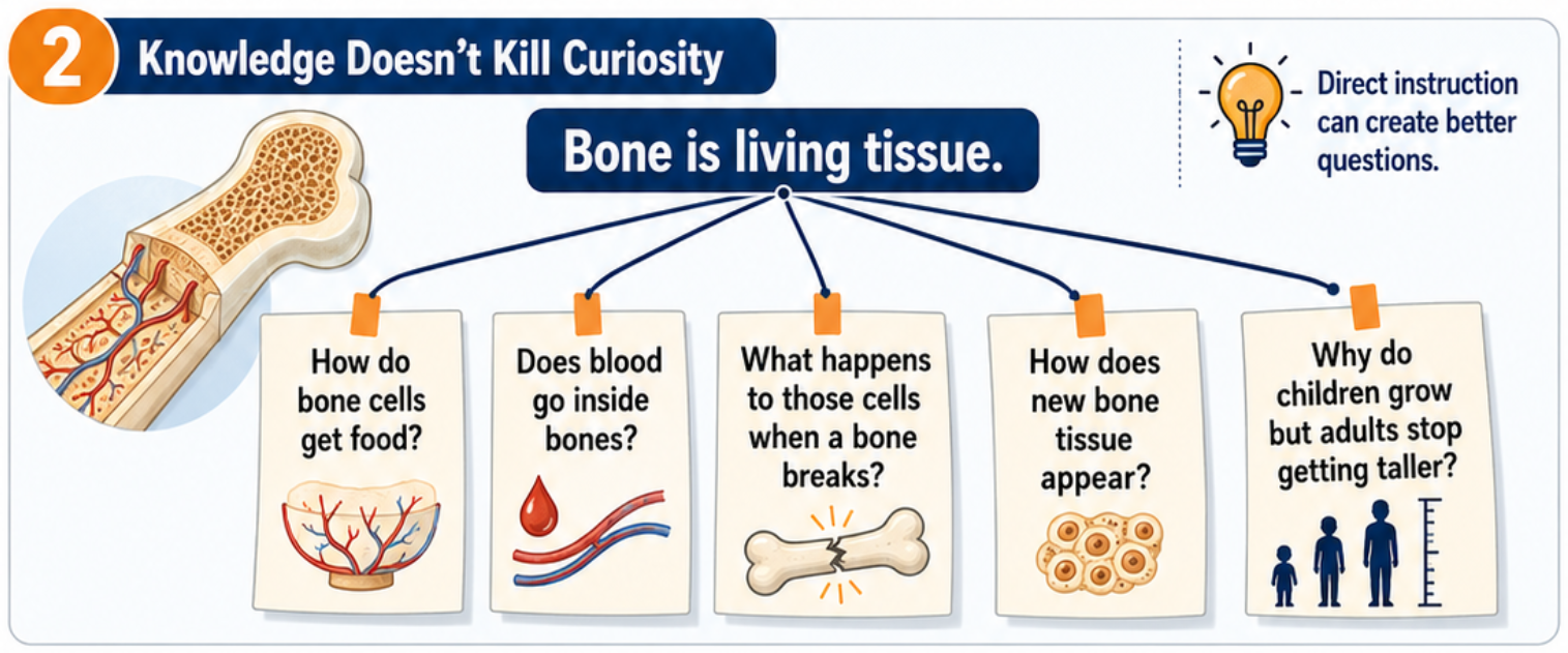 Diagram showing how the fact that bone is living tissue can generate deeper student questions